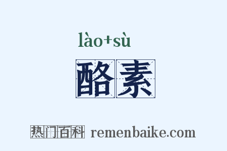酪素是什么意思的图片